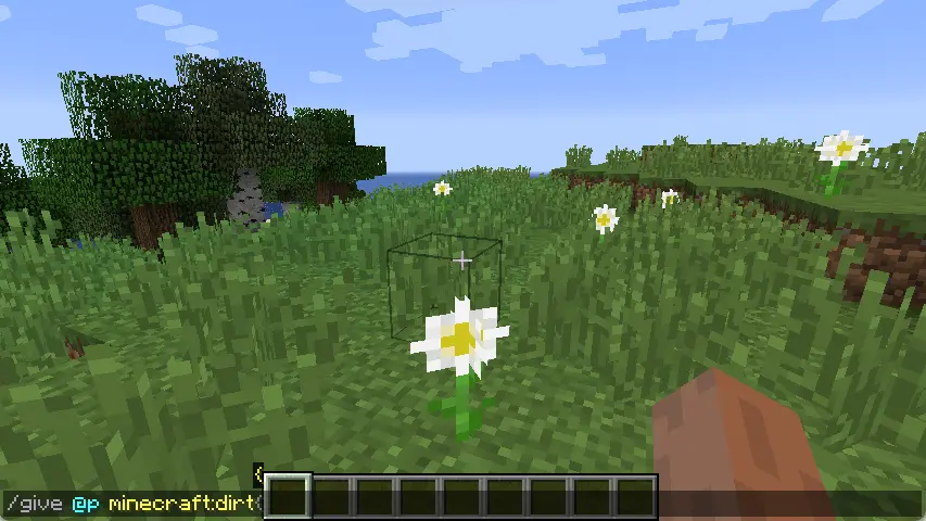 Type your commands after the forward slash (/)